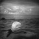 Water's Edge