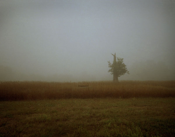 Good by Angels - Image 4
